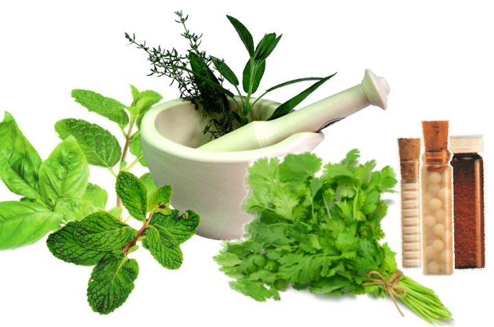 Fitoterapia