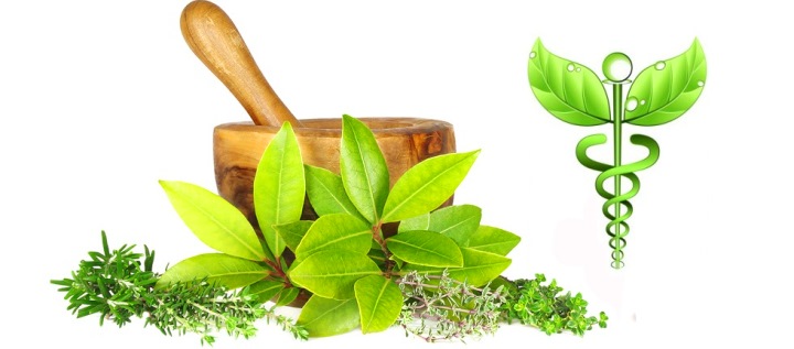 Naturopatia